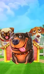 The Dog House